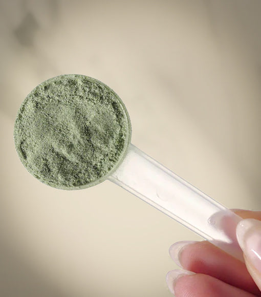 Herboxa® SUPER GREENS 