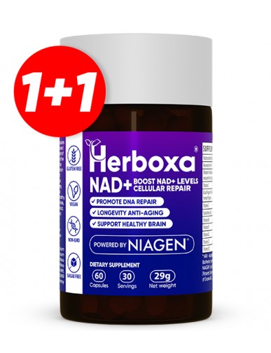 Herboxa Garlic Heart Supplements Benefits.