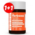 Herboxa® PROSTATE 