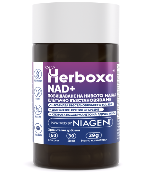 Herboxa® NAD+ | Иновативна Добавка Против Стареене