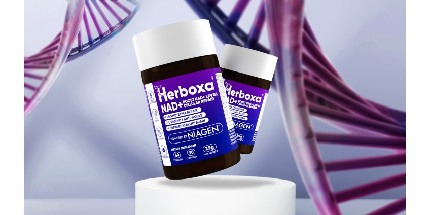 Herboxa® NAD+ | Иновативна Добавка Против Стареене